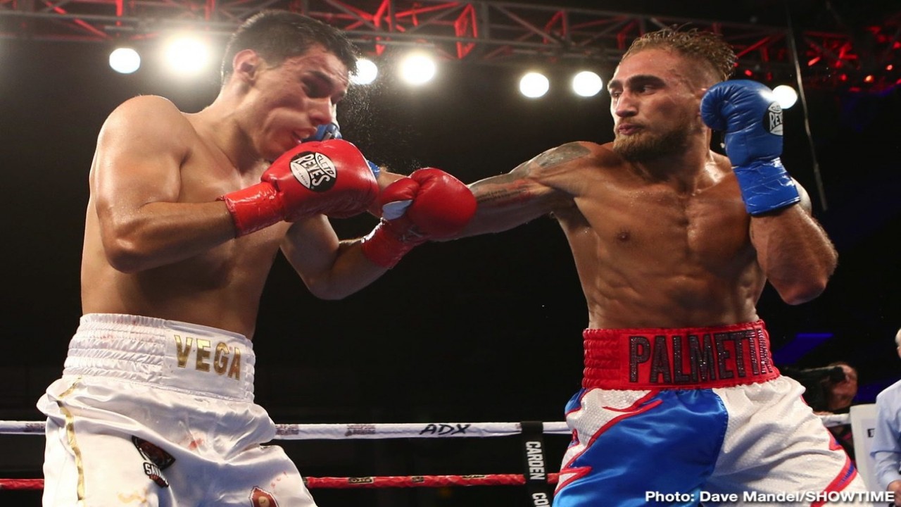 ShoBox: The New Generation: Vega vs. Palmetta