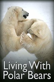 Living With Polar Bears