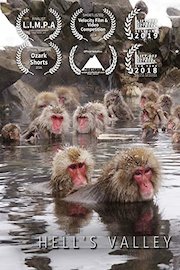 Hell's Valley: Japan's Snow Monkeys