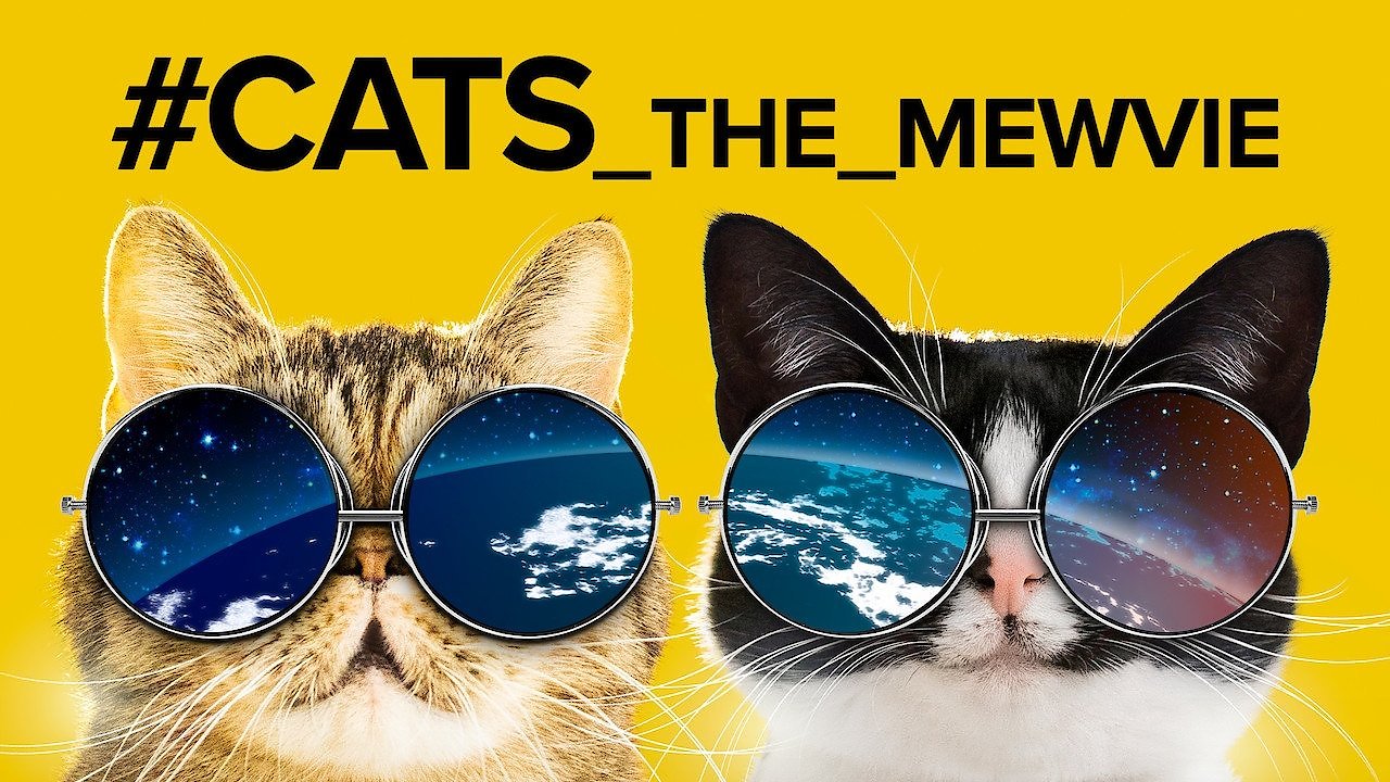 #cats_the_mewvie