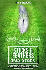 Sticks and Feathers