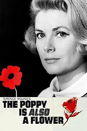 The Poppy Is Also a Flower