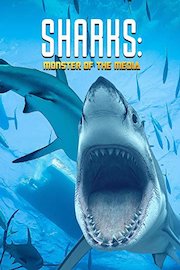 Sharks: Monster of the Media