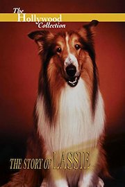 The Hollywood Collection: The Story of Lassie