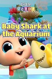 Baby Shark at the Aquarium