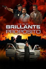 Un brillante propósito