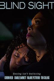 B L I N D S I G H T
