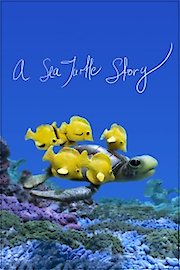 A Sea Turtle Story