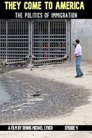 They Come to America: The Politics of Immigration