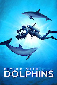 Diving with Dolphins