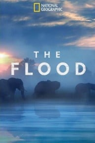 The Flood