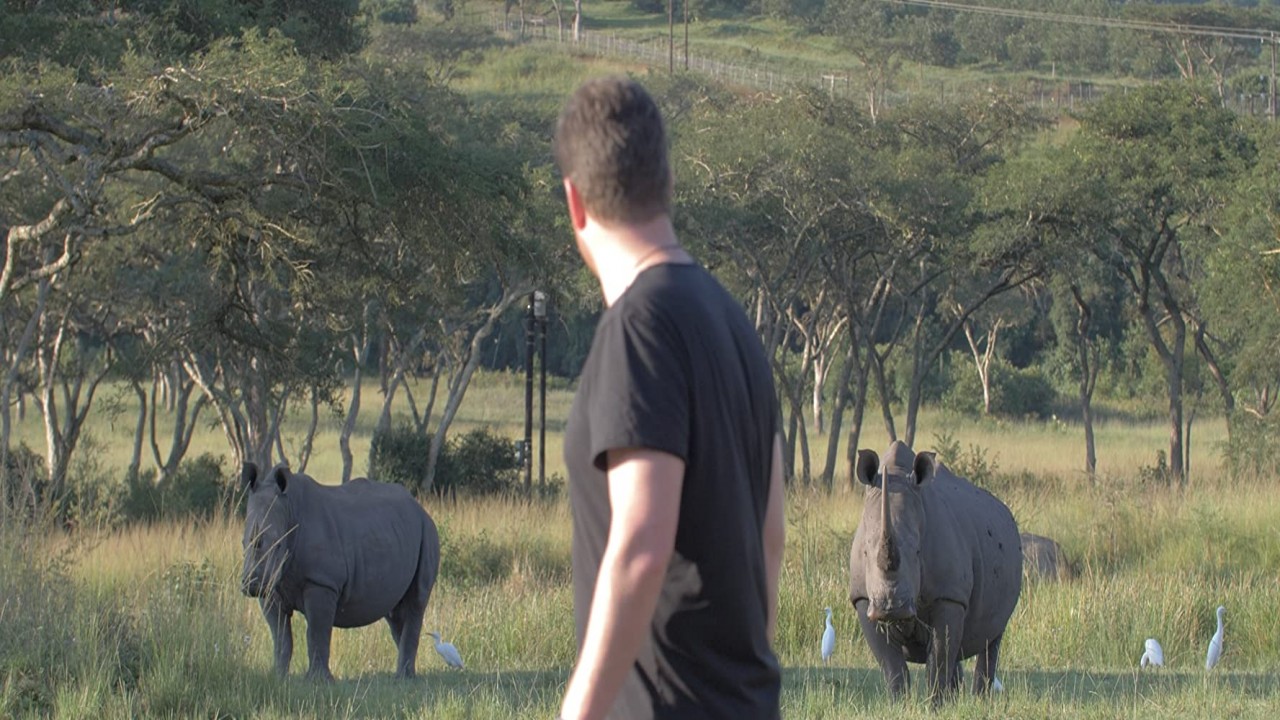 The Boy from the Wild