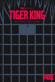 Tiger King - What Really Went Down?