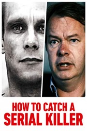 How to Catch a Serial Killer