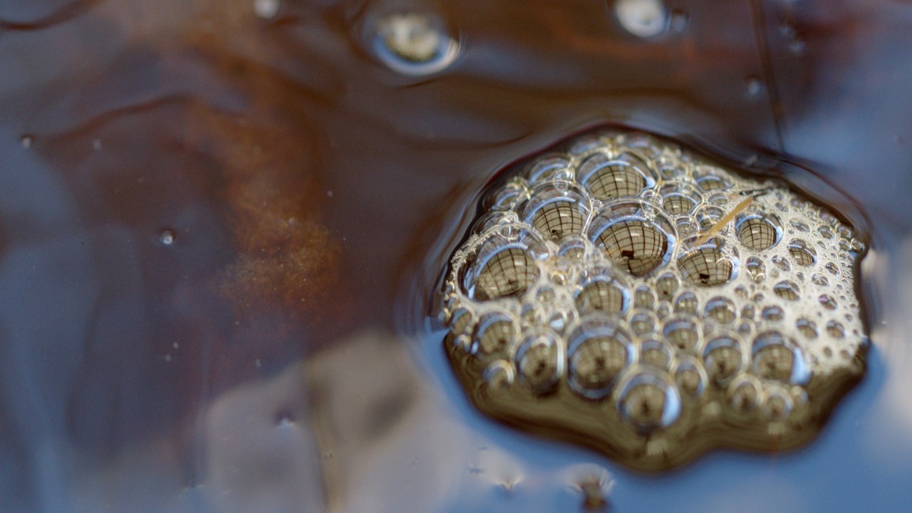 In The Belly of the Moon