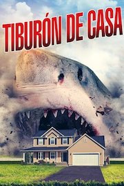 Tiburón De Casa