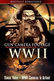 WWII Gun Camera Footage - Digitally Remastered - Bonus Video - WWII Cameras in Action!