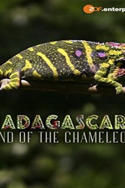 Madagascar - Land of the Chameleons
