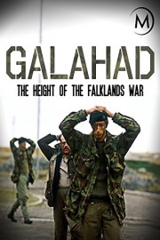 Galahad: The Height of the Falklands War