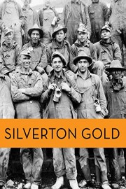 Silverton Gold