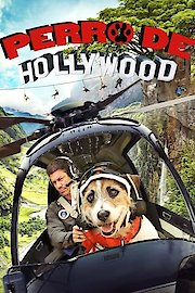 Perro de Hollywood