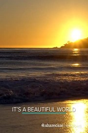 It's A Beautiful World