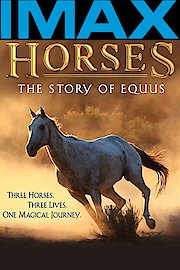 Horses: The Story of Equus IMAX