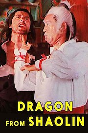 Dragon From Shaolin