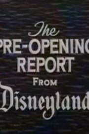 The Pre-Opening Report from Disneyland