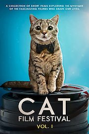 Cat Film Festival Vol. 1