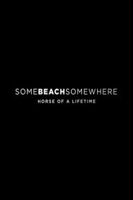 Somebeachsomewhere: Horse of a Lifetime