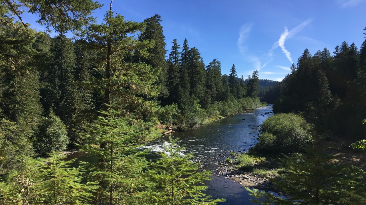 Run Wild Run Free: 50 years of wild and scenic rivers