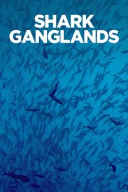 Shark Ganglands