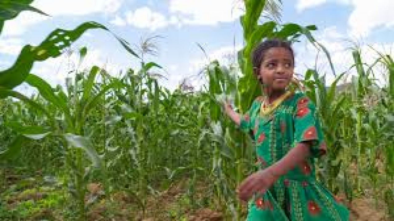 Rick Steves Hunger and Hope: Lessons from Ethiopia and Guatemala