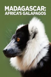 Madagascar: Africa's Galapagos