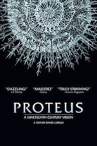 Proteus