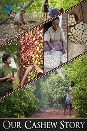 Our Cashew Story
