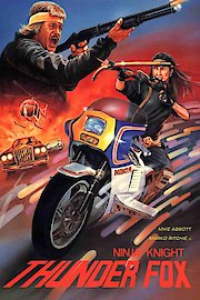 Ninja Knight: Thunder Fox