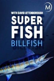 Superfish: Billfish