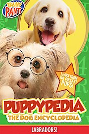 Puppy-Pedia the Dog Encyclopedia: Labradors