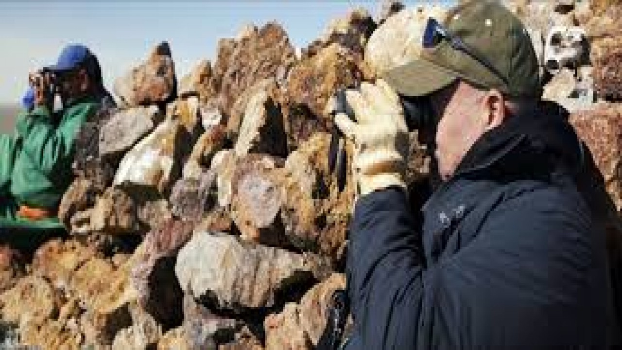 Minii Ayam - My Journey