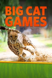 Big Cat Games