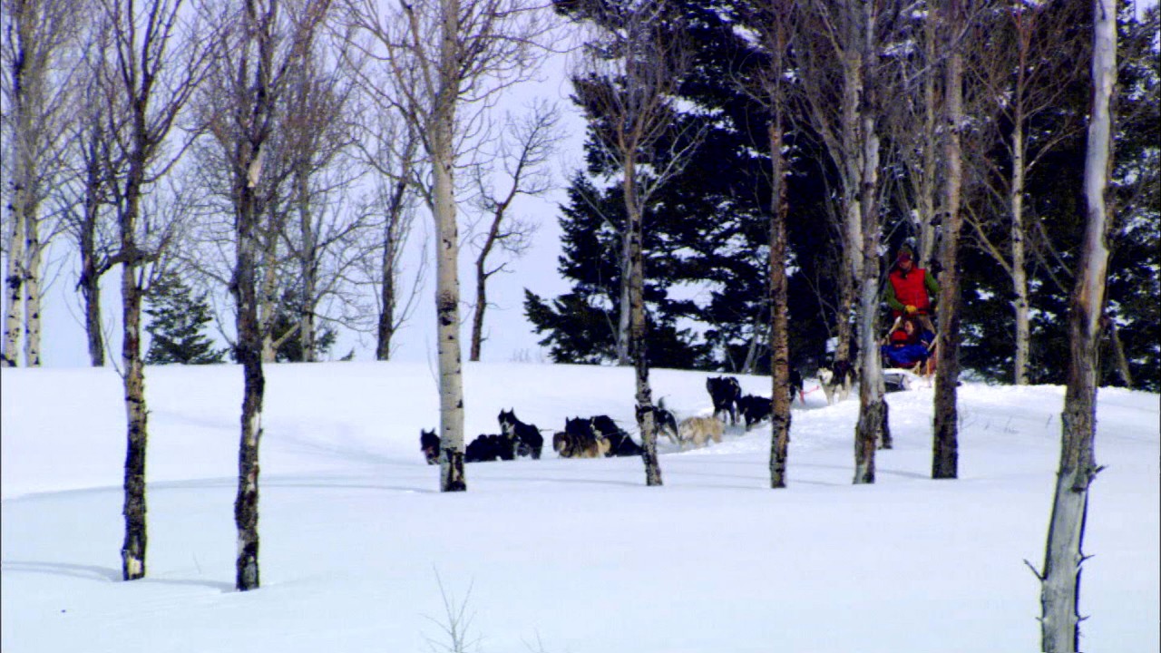 Christmas and Winter in America's National Parks