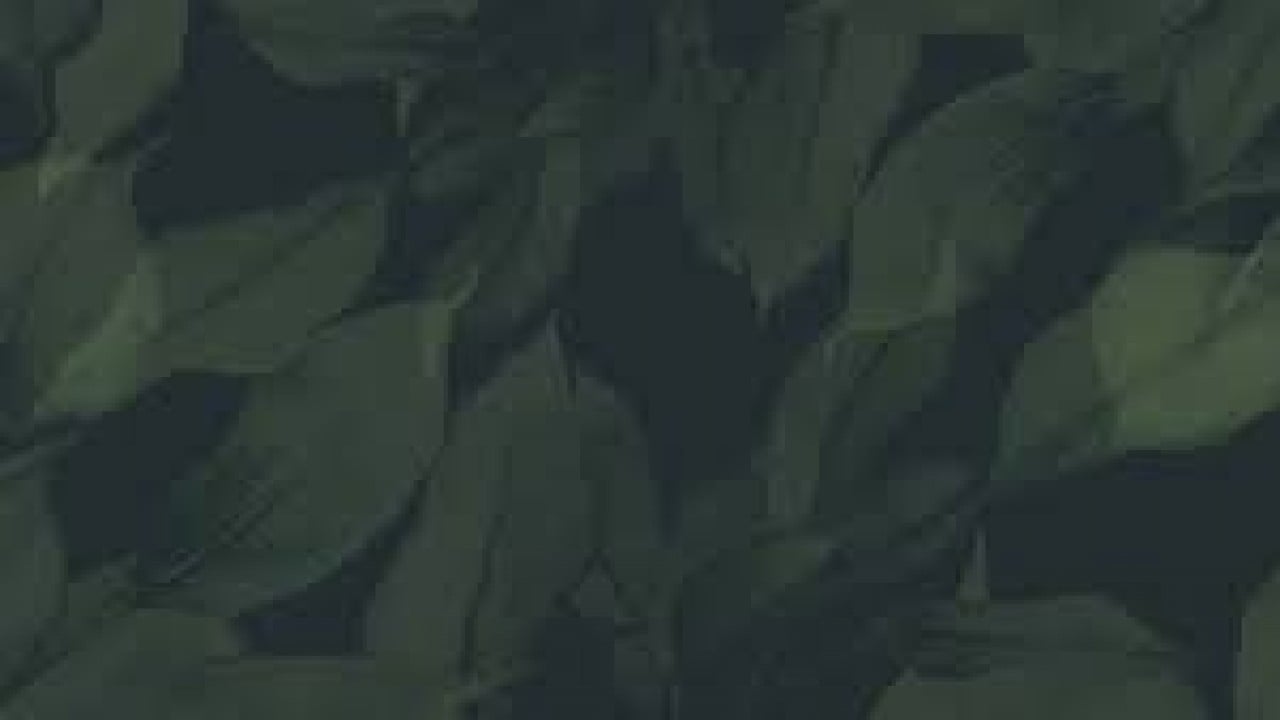 Daddy's Girls: Re-Identified