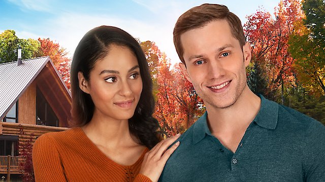 Watch Love At Look Lodge Online 2020 Movie Yidio