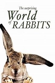 The Surprising World of Rabbits