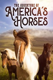 The Adventure of America's Horses