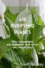 Air Purifying Houseplants