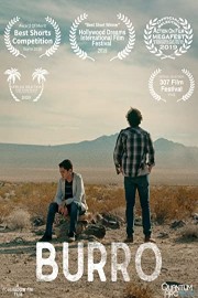 Burro