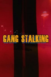 Gang Stalking